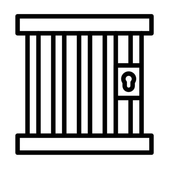Know your rights in detention