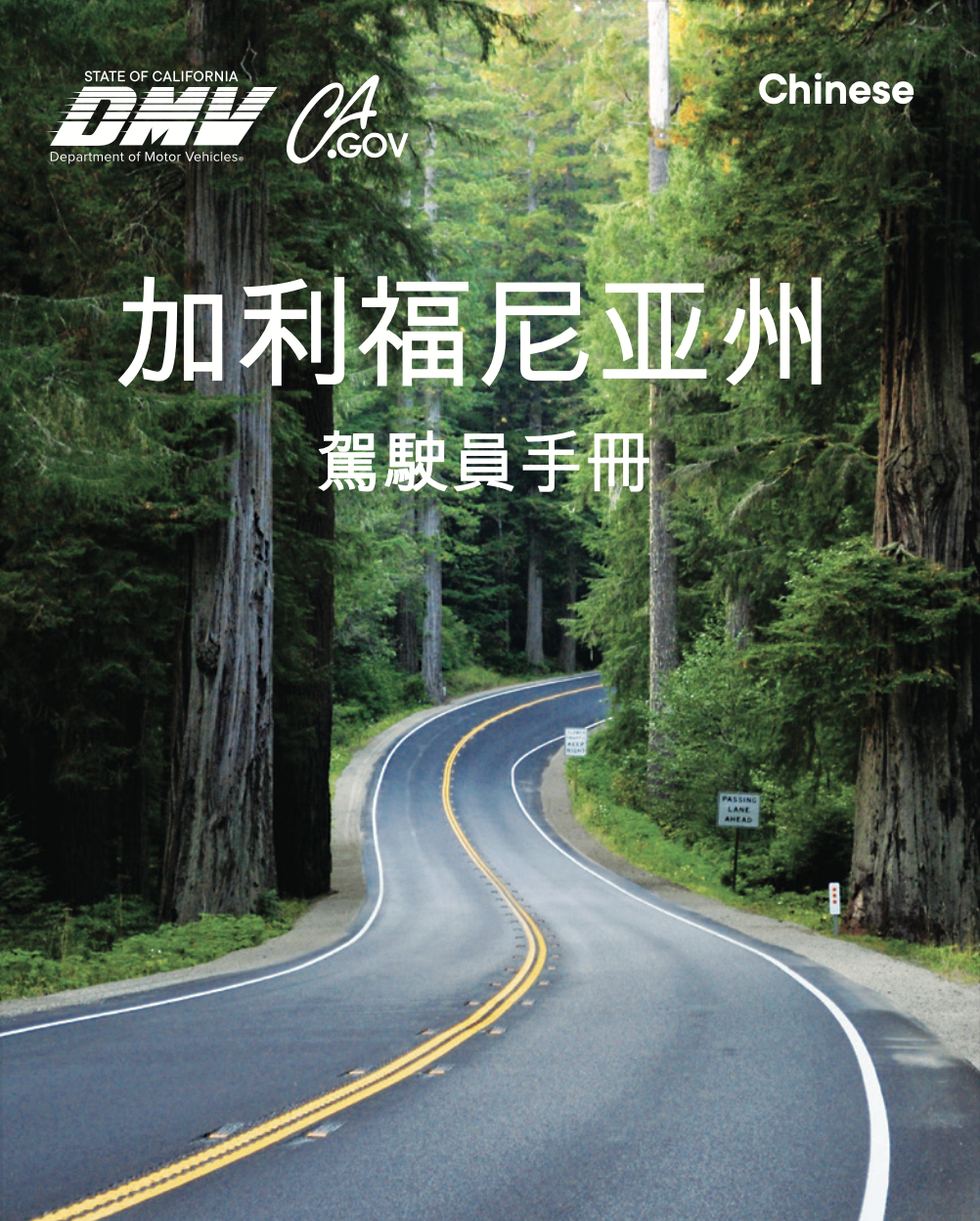 Chinese driver's manual