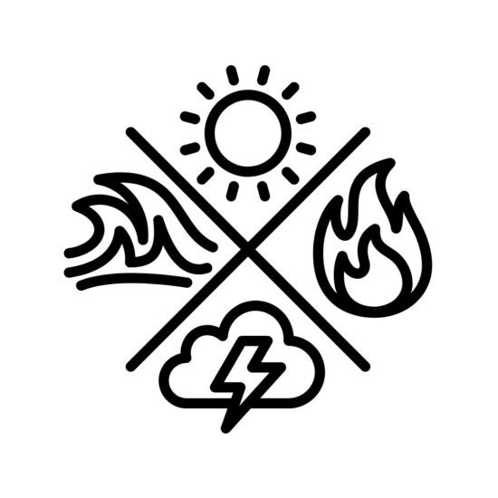 disaster icon